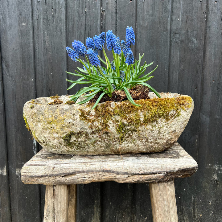 Small Antique stone Planter