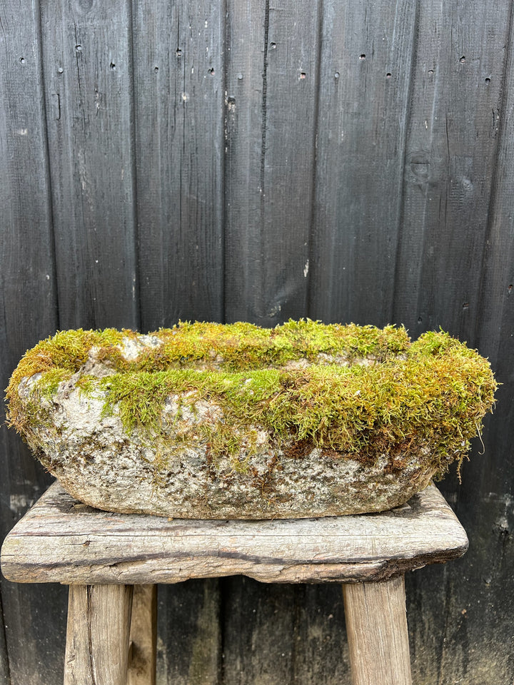 Small Antique stone Planter 2