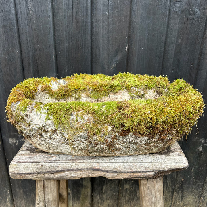Small Antique stone Planter 3 