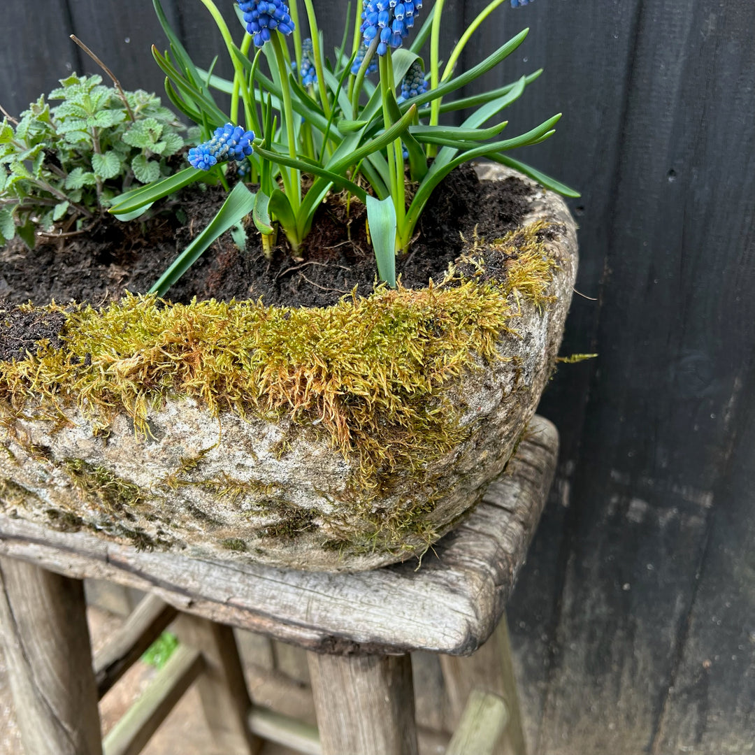 Small Antique stone Planter 5
