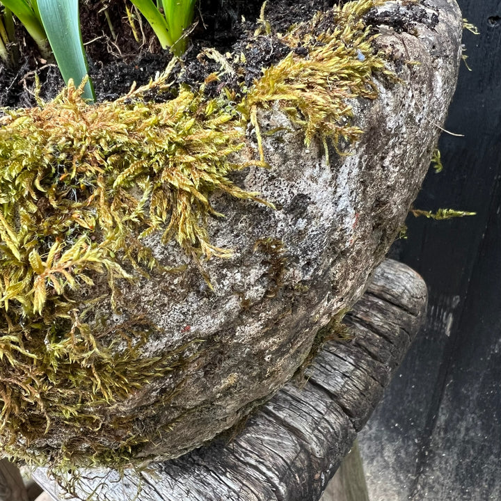 Small Antique stone Planter 6 