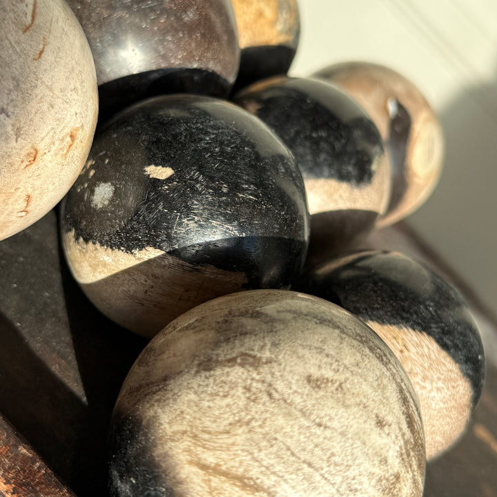 Stone Ball Petrified Wood | 8cm