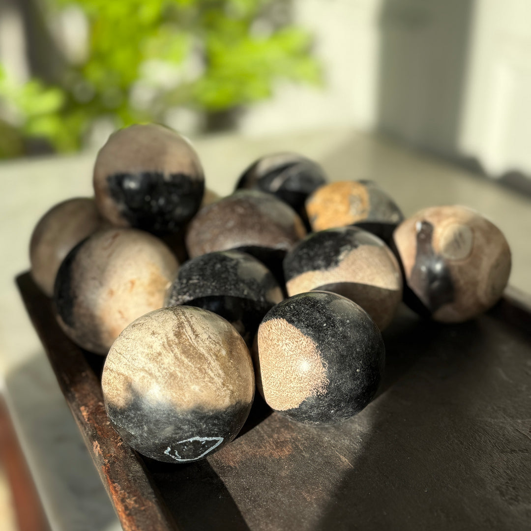 Stone Ball Petrified Wood | 8cm