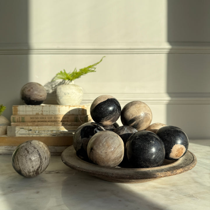 Stone Ball Petrified Wood | 8cm