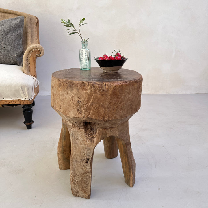 Tree Trunk Stool Side Table