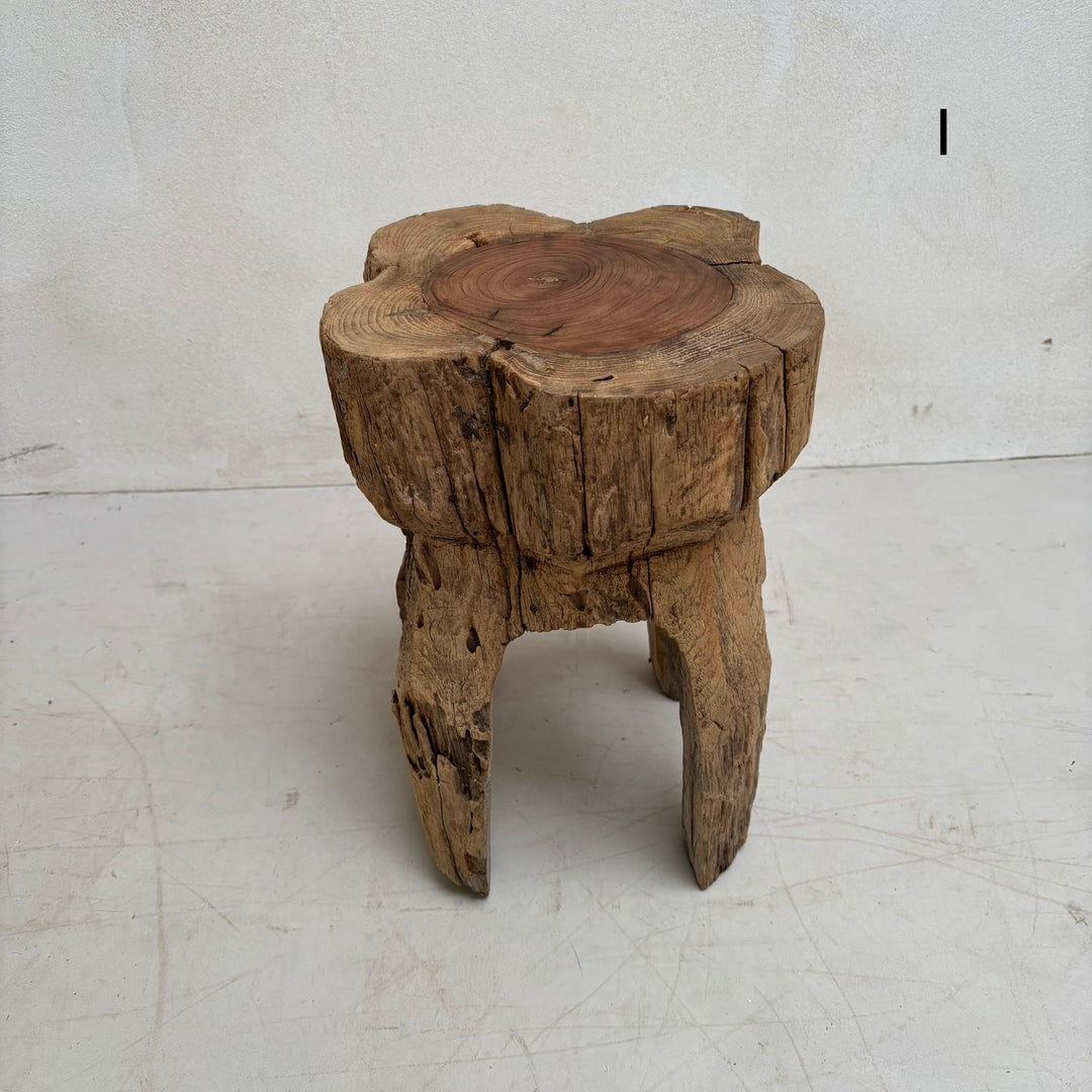 Tree Trunk Stool Side Table I