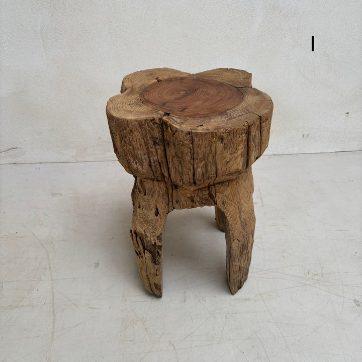 Tree Trunk Stool Side Table I