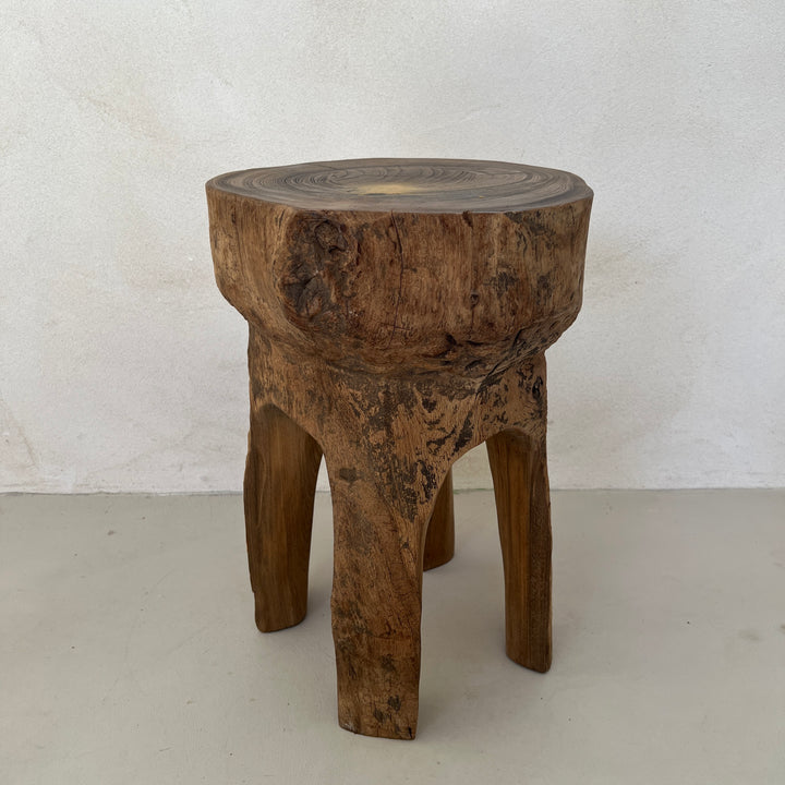 Tree Trunk Stool Side Table