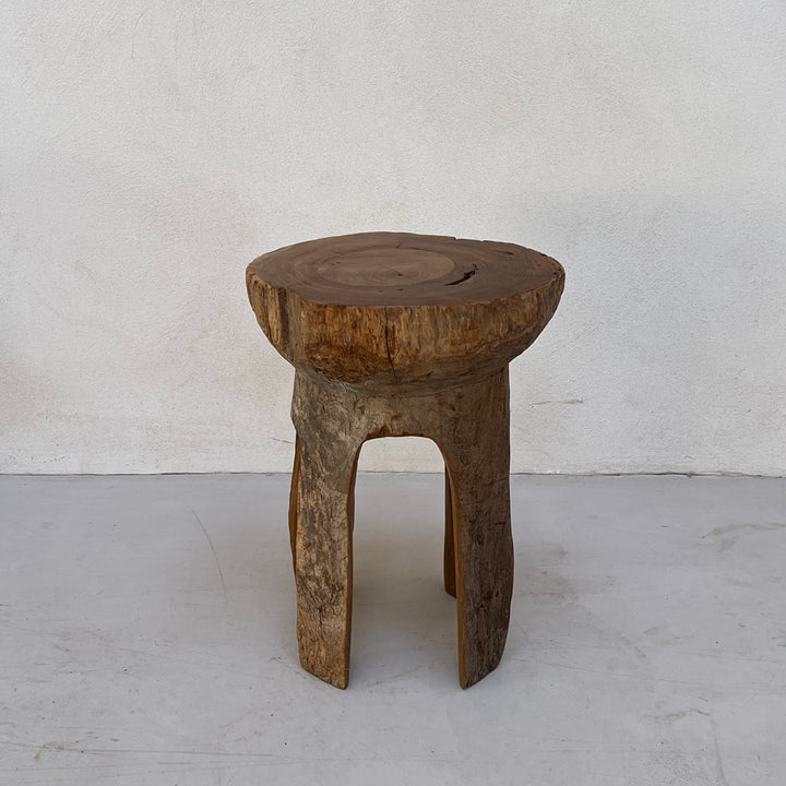 Tree Trunk Stool Side Table