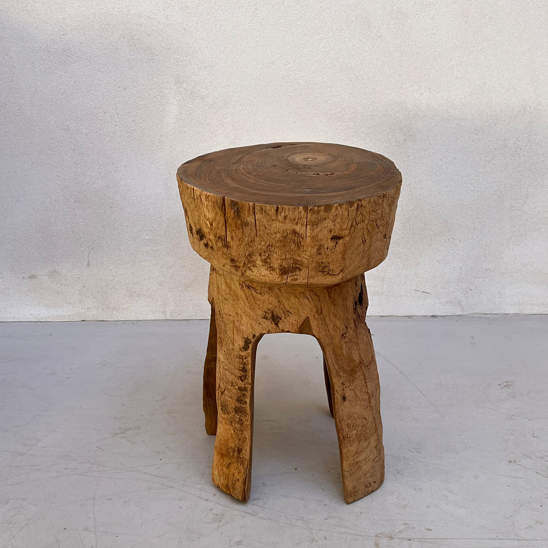 Tree Trunk Stool Side Table