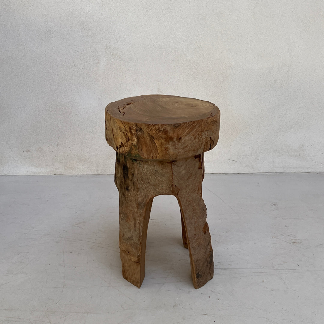 Tree Trunk Stool Side Table