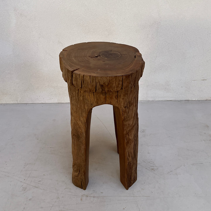 Tree Trunk Stool Side Table