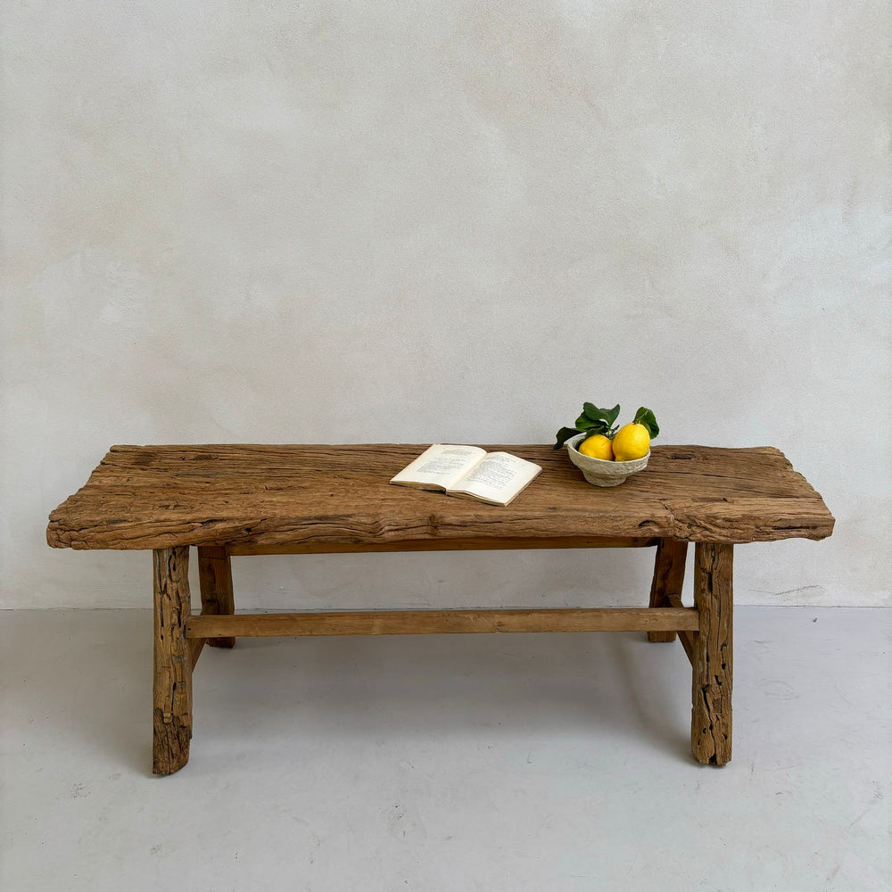 Unique antique elm bench | Sasha with lemon bowl
