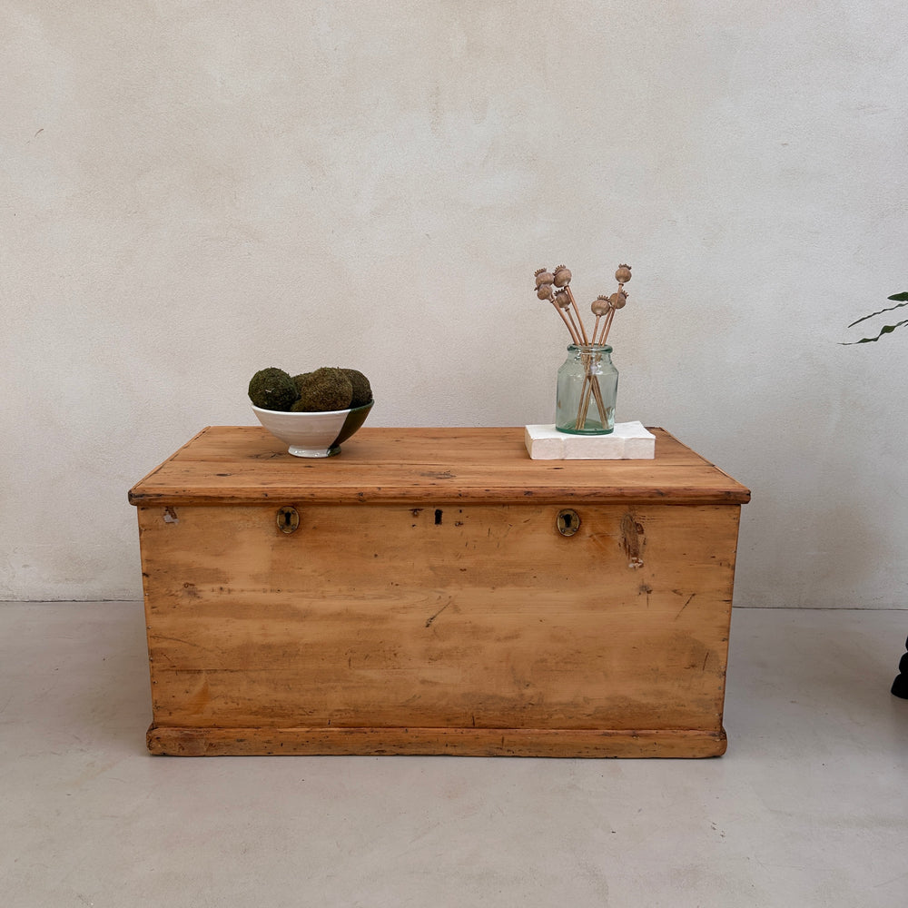 Vintage Blanket Box | Poynings