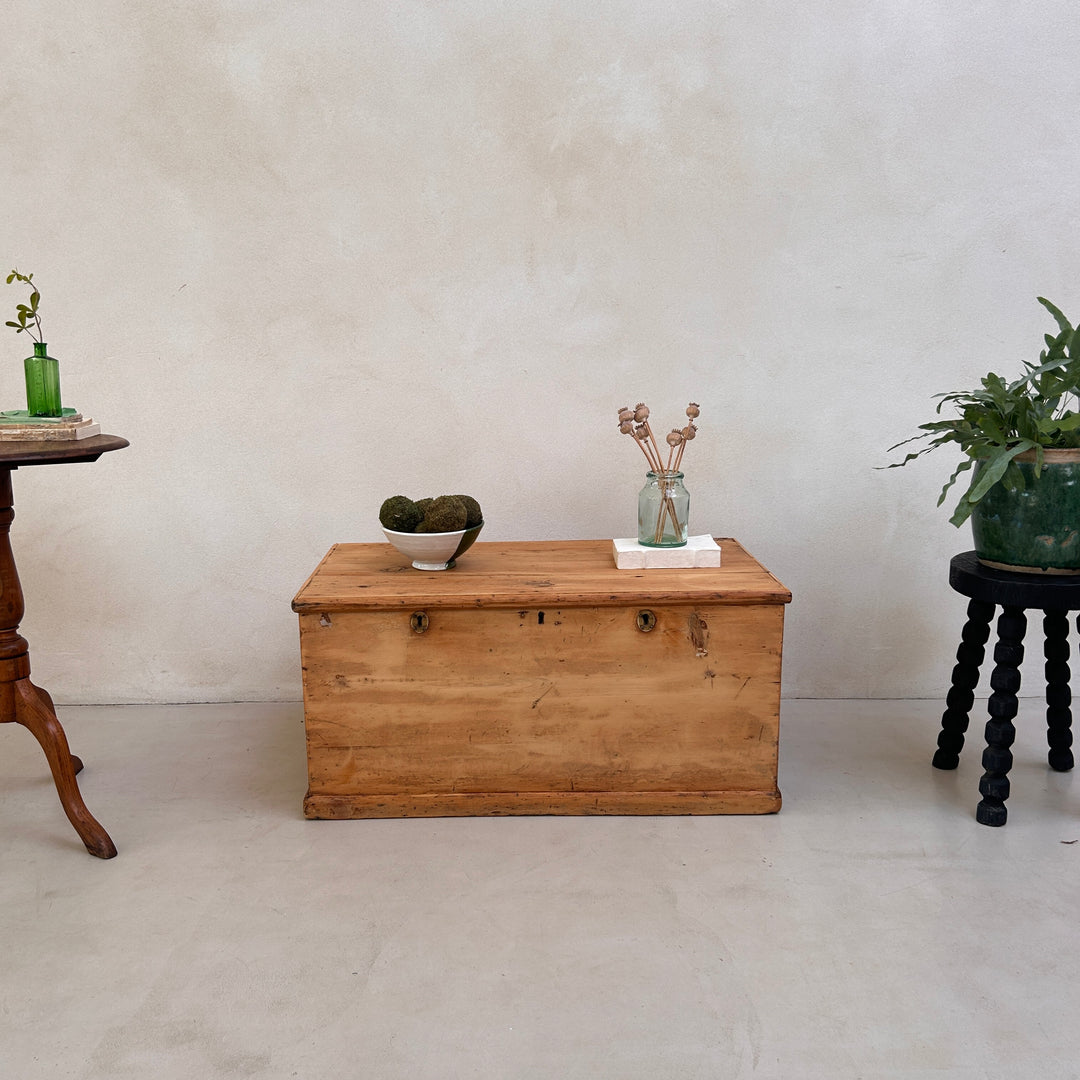 Vintage Blanket Box | Poynings