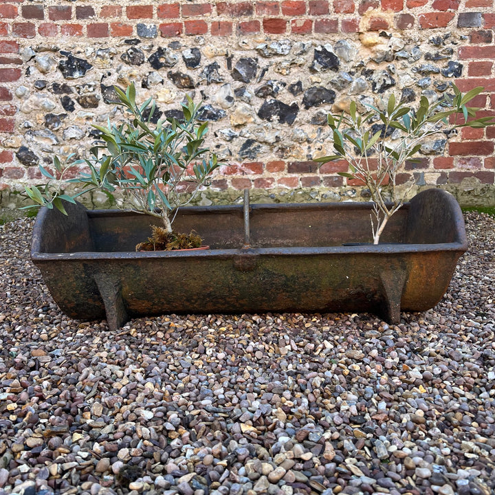 Vintage Cast iron feeding trough planter