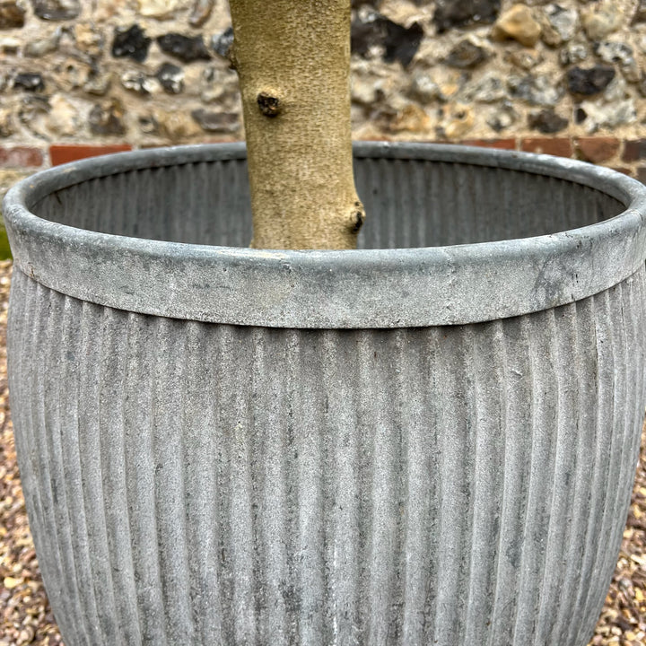 Vintage Dolly tub planter A