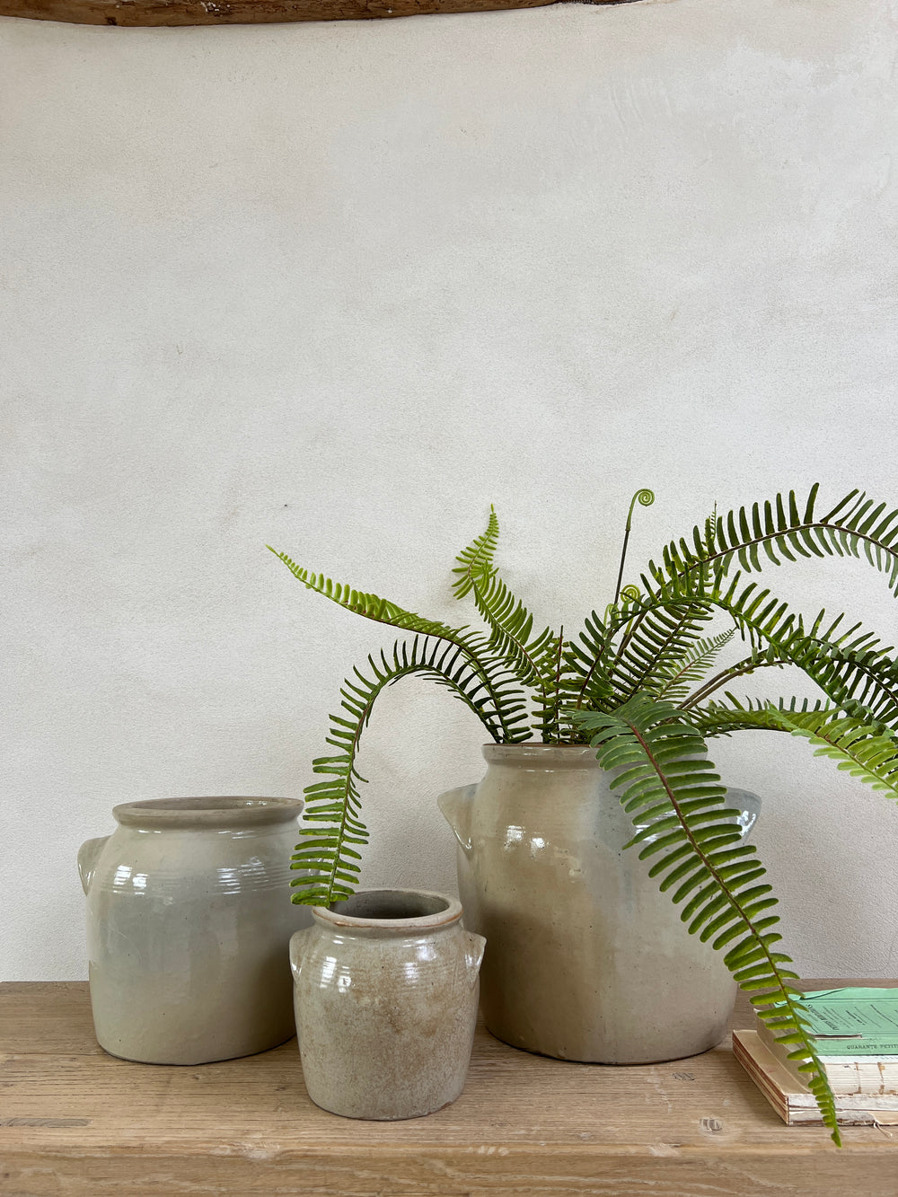 Vintage French confit preserve pots | lug handle