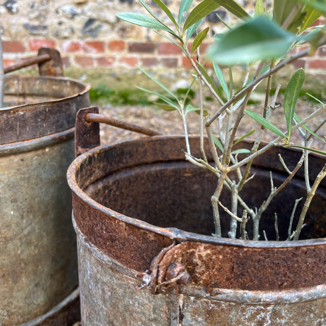 Vintage Metal Bucket Planter