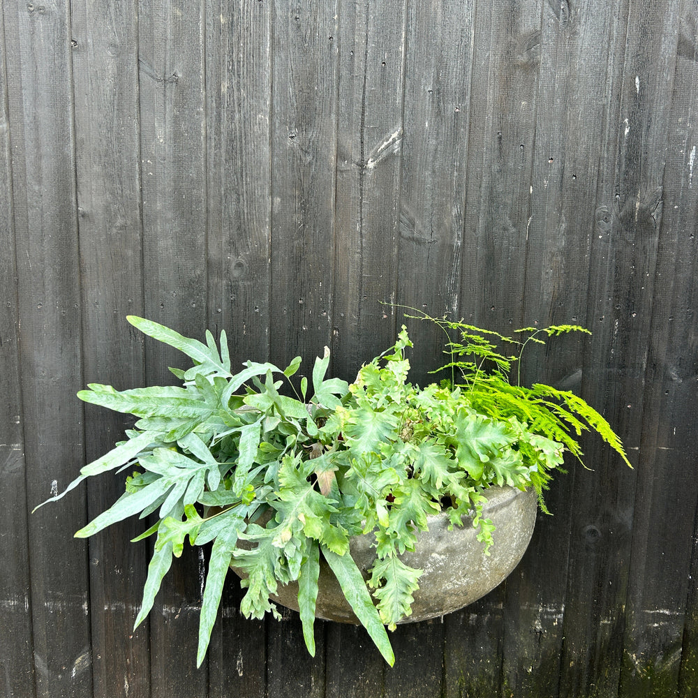 Vintage Zinc Loddon semi-circular wall planters