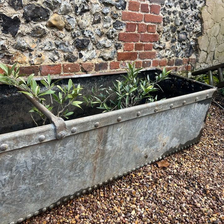 Vintage riveted trough planter with Ring handles