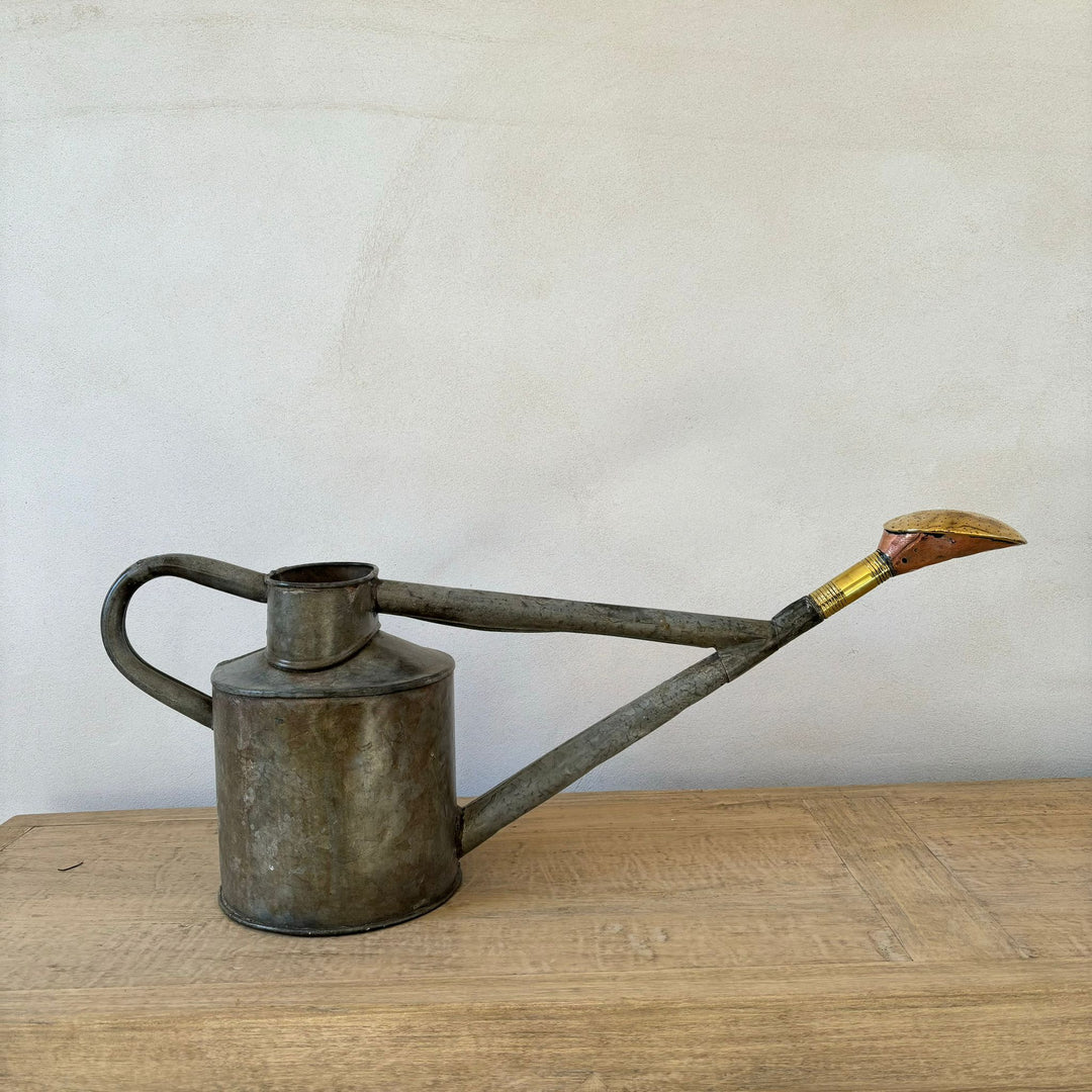 Long Reach Watering Can