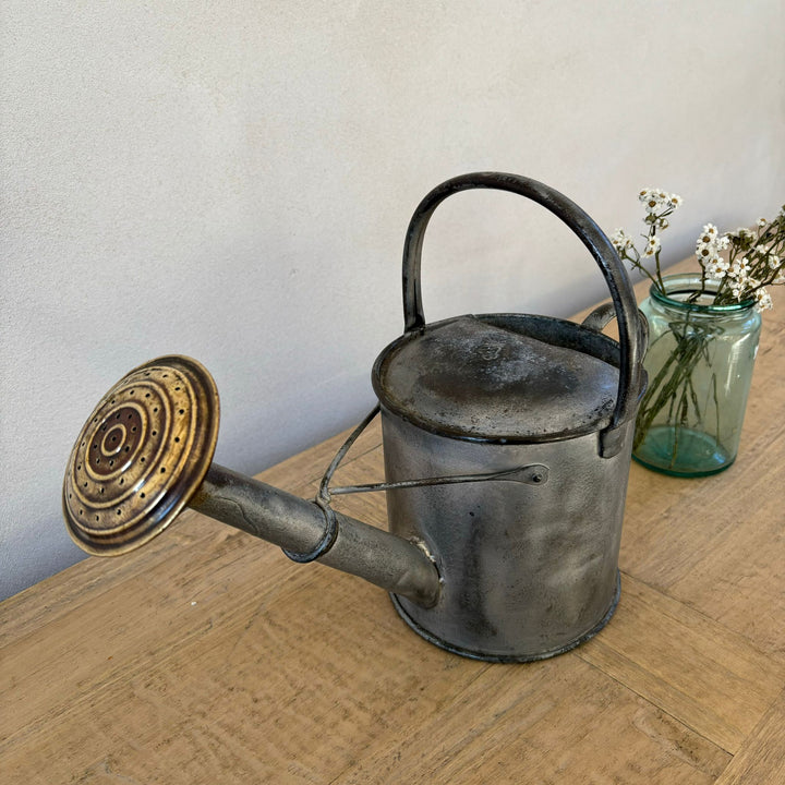 Vintage Watering Can with Rose