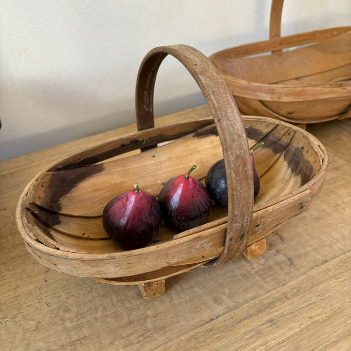 Vintage Garden Trug | Daisy