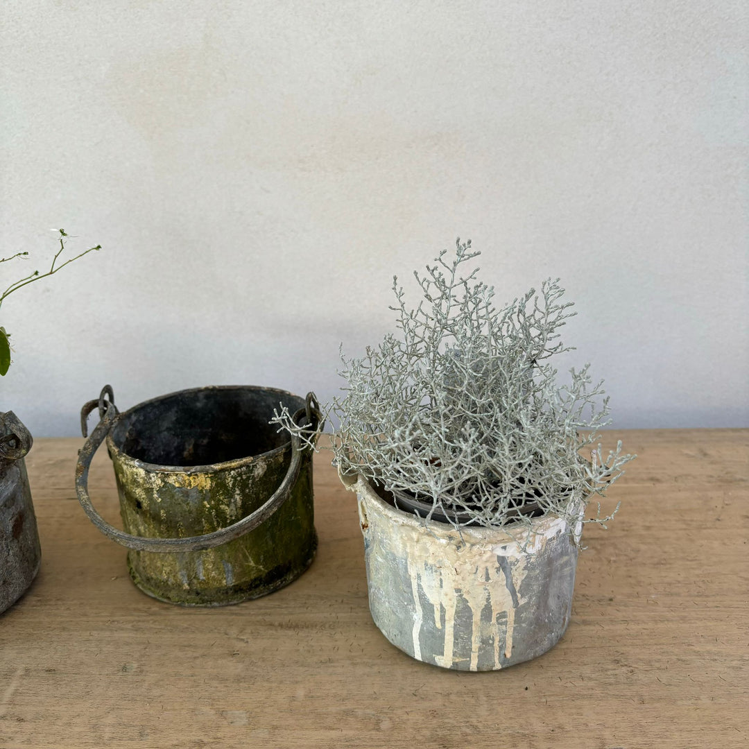 Vintage Rustic Paint Pots