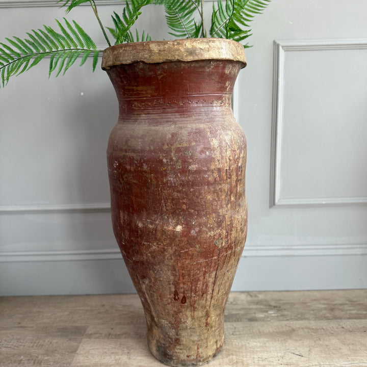 Vintage-style terracotta pot with a gold rim against a gray wall.