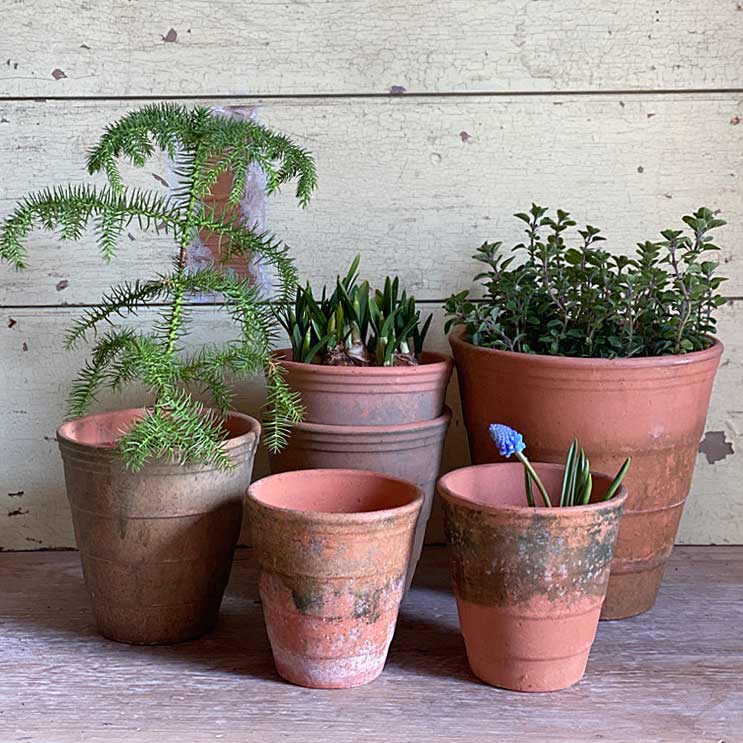 Ridged terracotta garden pot | Medium