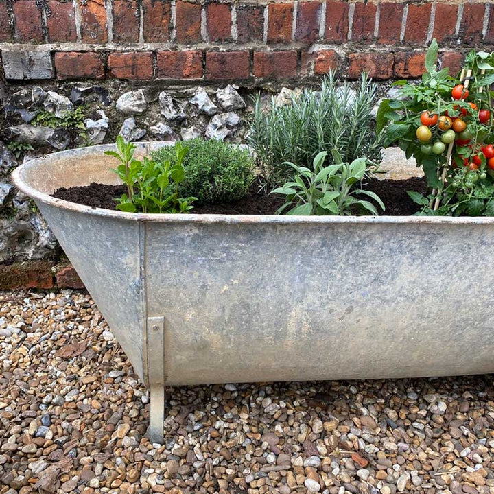 Antique Victorian Galvanised Bath | Vegetable Planter