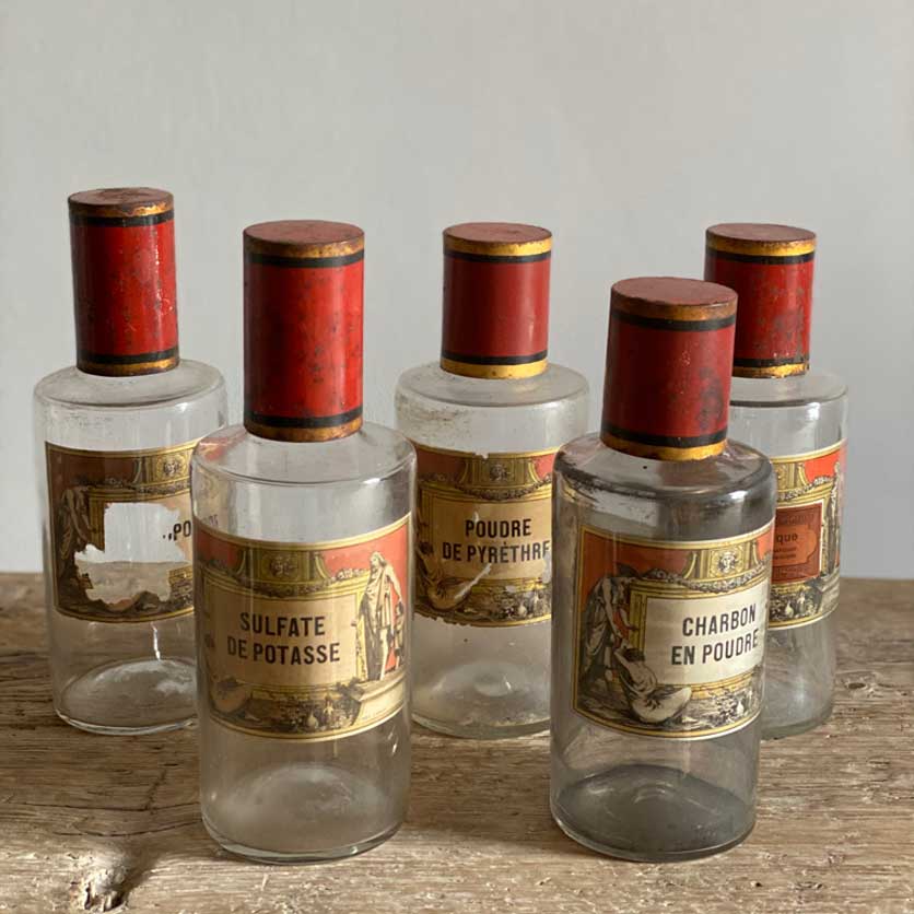 Napoleon III Antique Apothecary Jars - Charbon