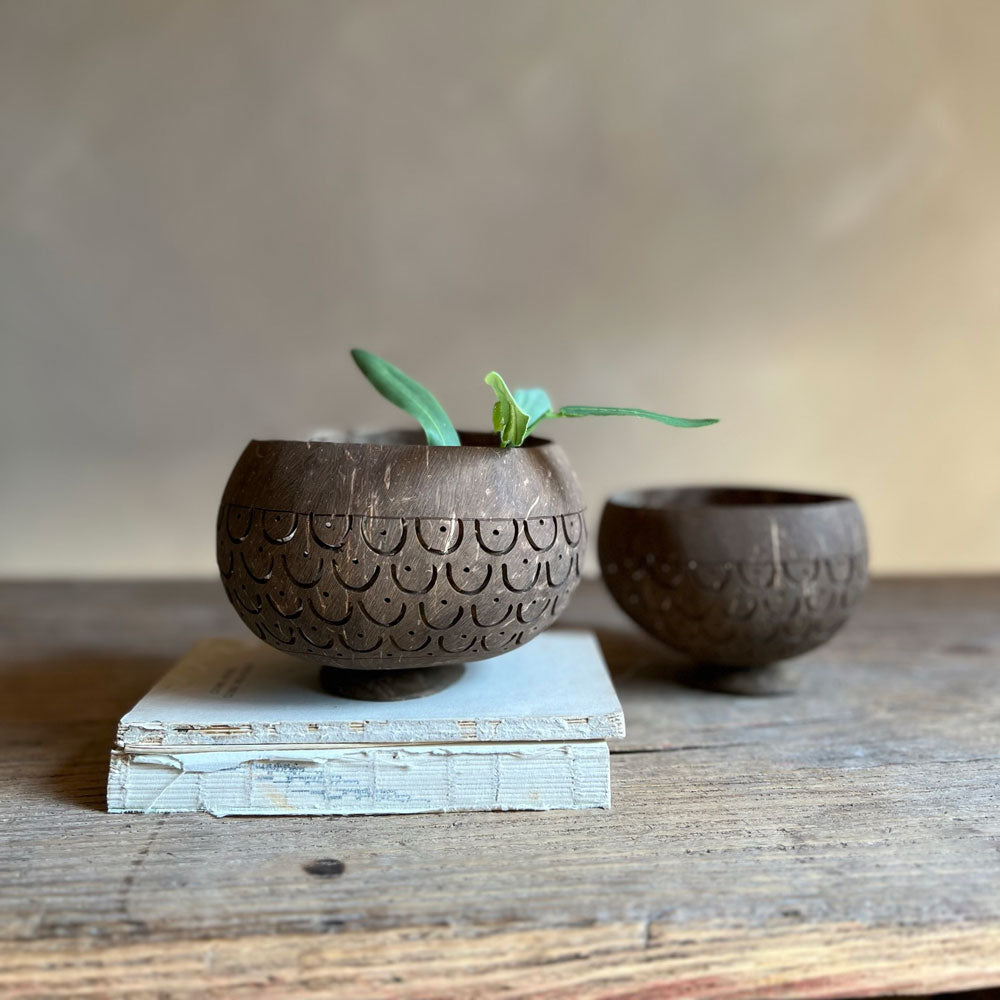 Coconut wood carved bowl | Aruba