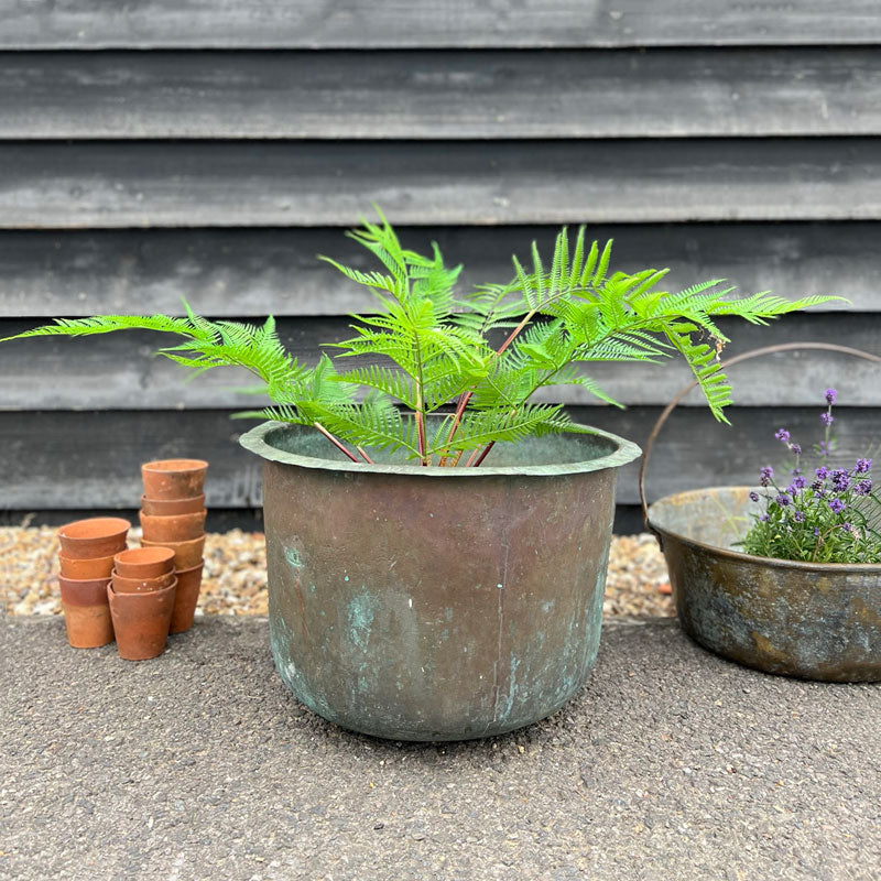 Vintage Copper Planter Pot