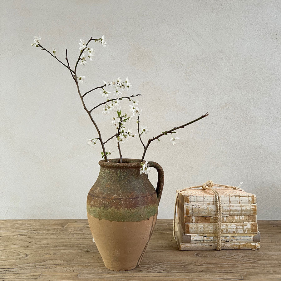 Medium Terracotta Pot | Fraya