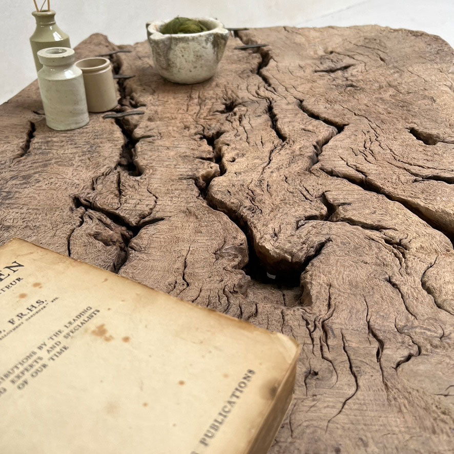 Antique burr root coffee table | Lilliana