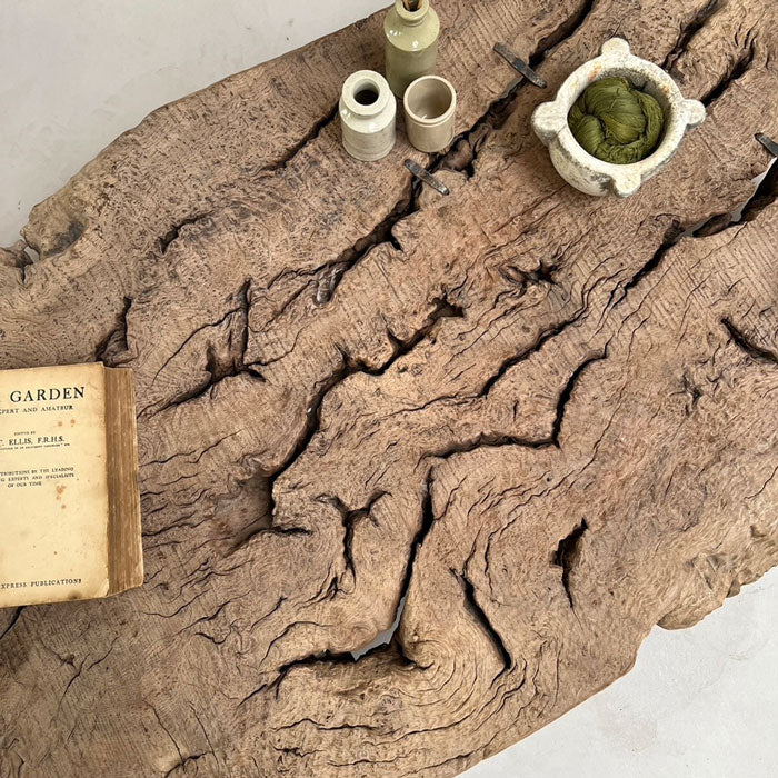 Antique burr root coffee table | Lilliana