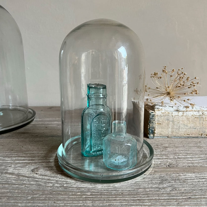 Glass Bell Jar Cloche