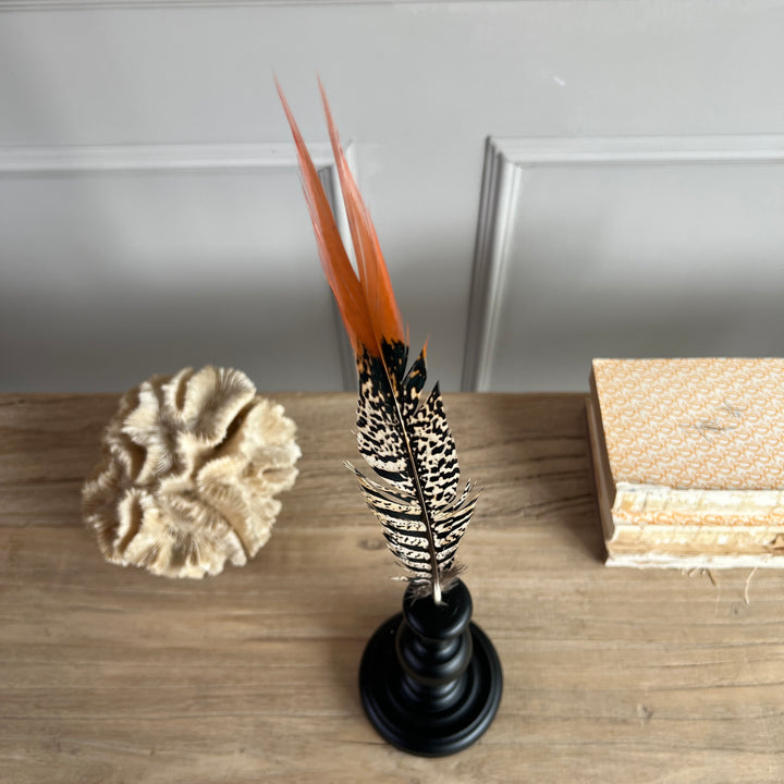 Pheasant feather on stand