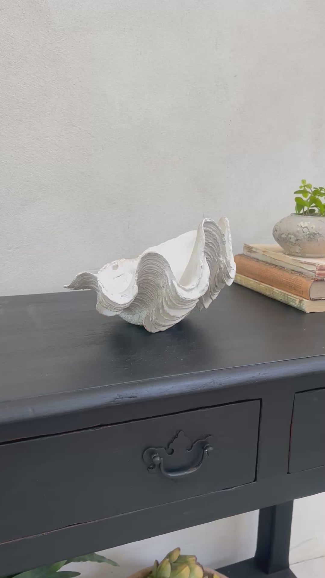Decorative White Clam Shell