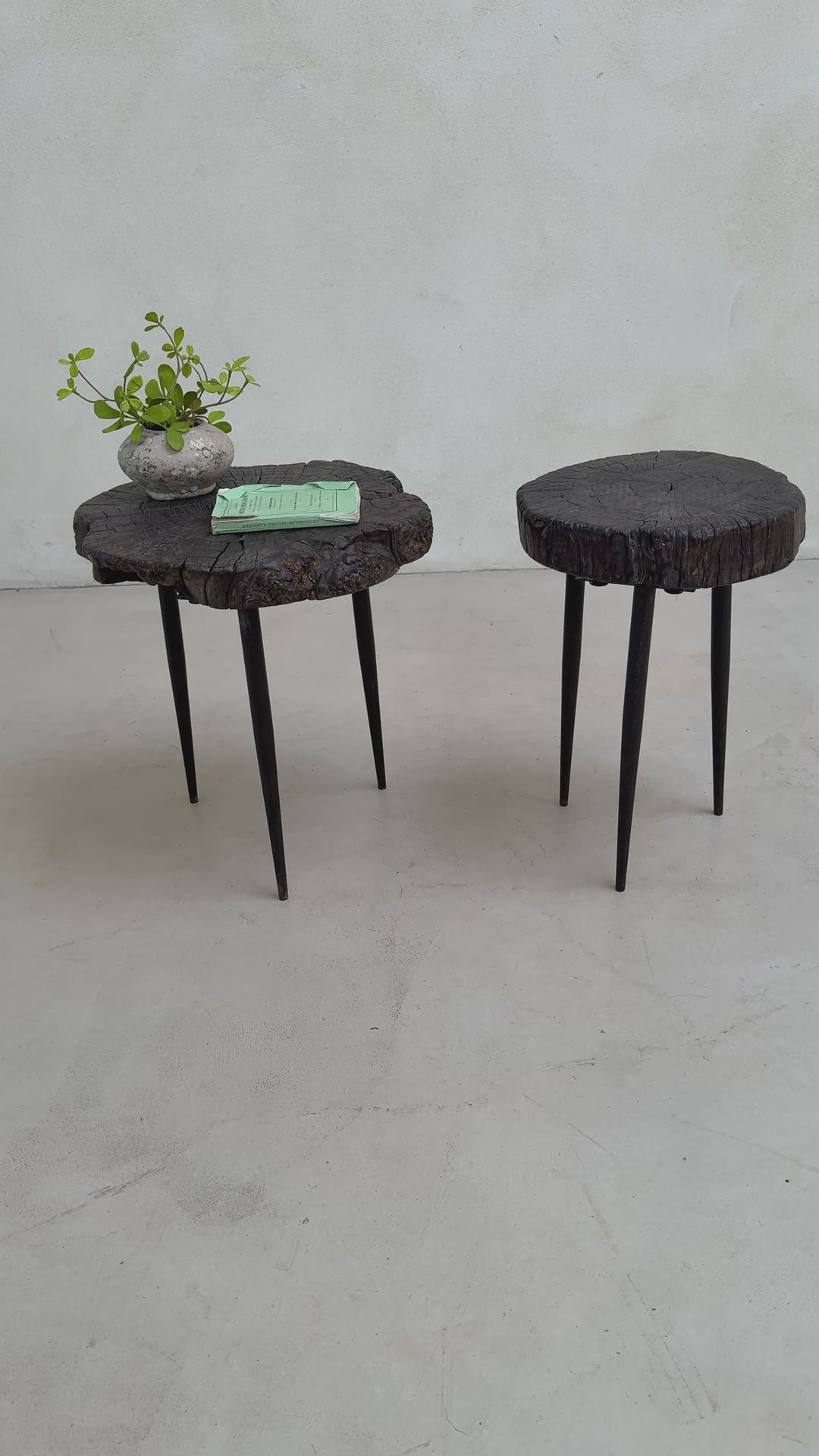 Pair of small burr walnut side tables