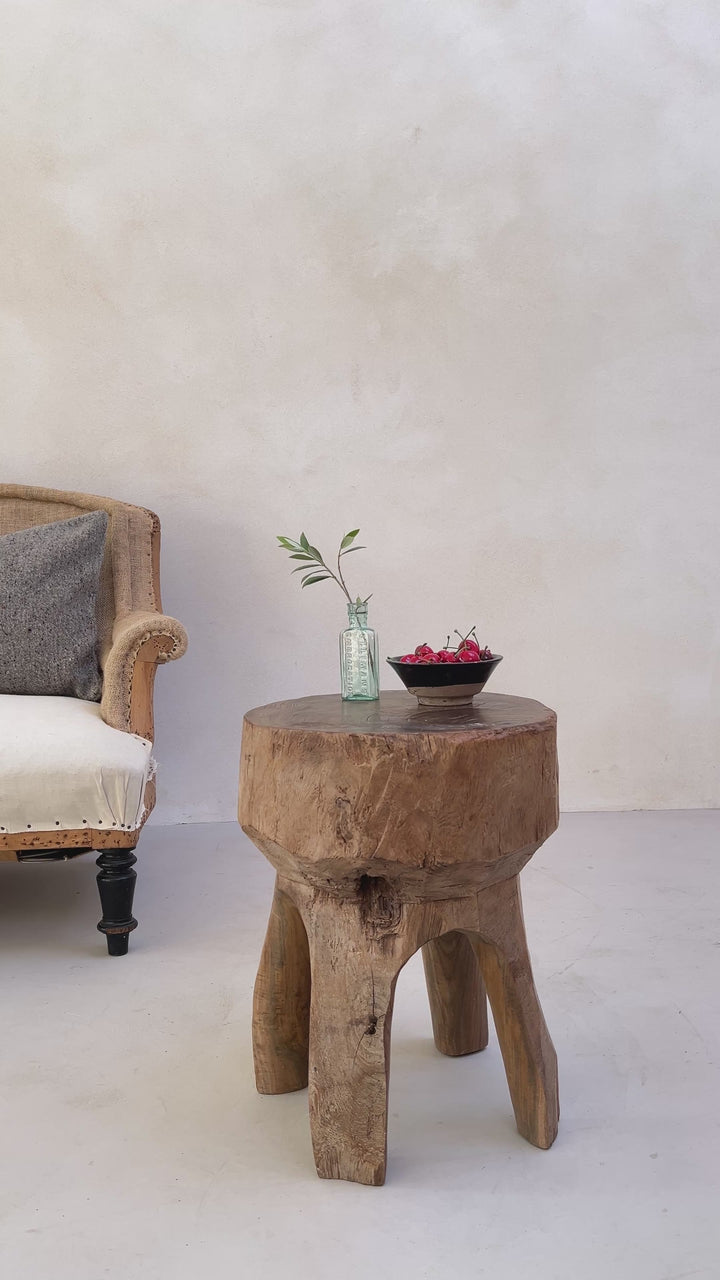 Tree Trunk Stool Side Table