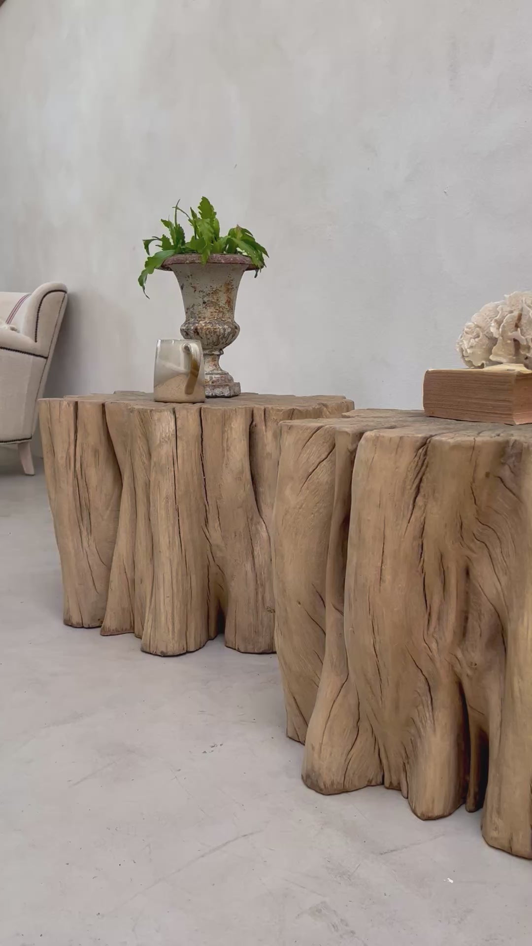 Ancient Tree Trunk Side Table Bruton
