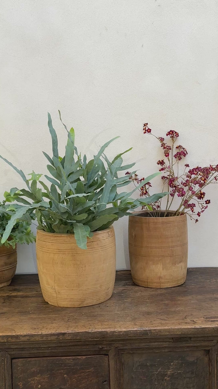 Sunbleached Wooden Nepali Plant Pots