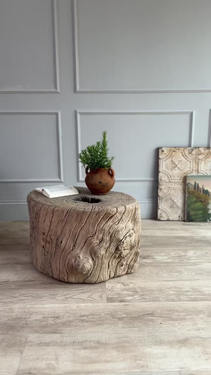 Anicent Tree trunk Side Table Bruton