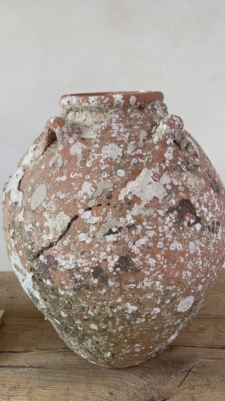 Antique Shipwreck Storage Jar | Singburi 8720913