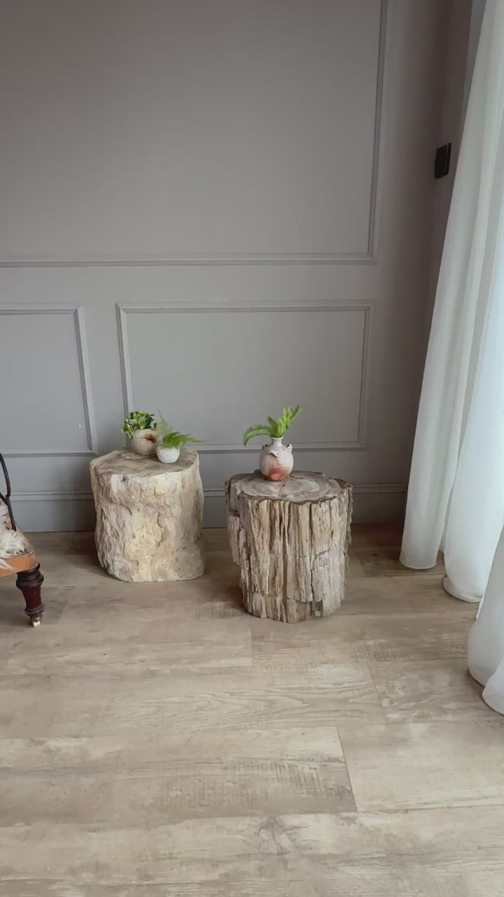 Petrified Wood Side Tables