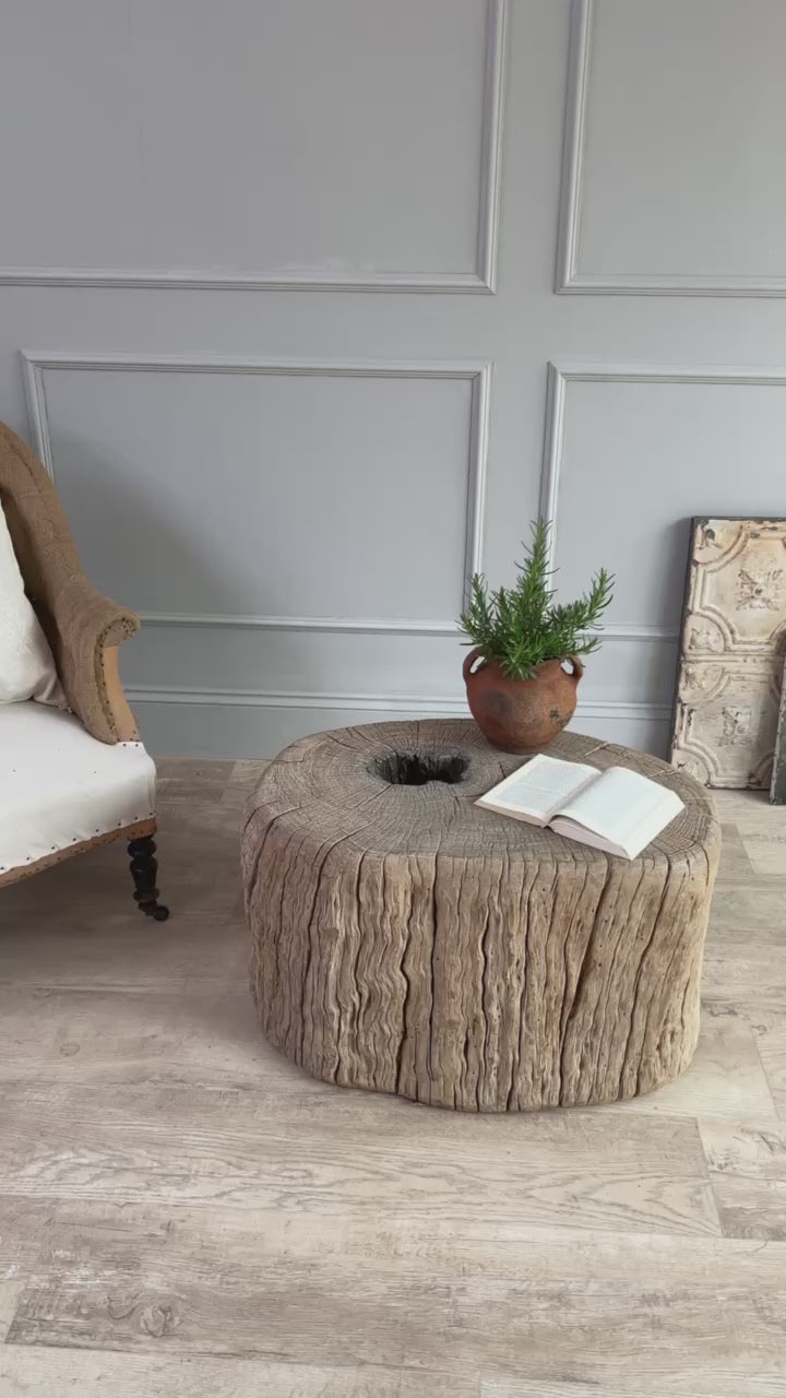 Ancient Tree Trunk Side Table Bruton