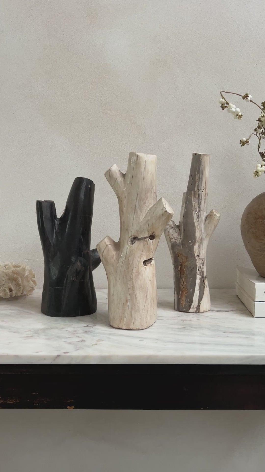 Petrified wood tree branch sculpture | Sari